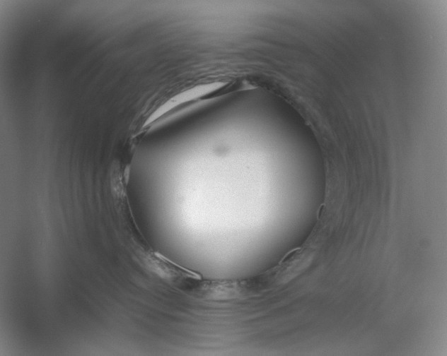 X0000054410384200508192037