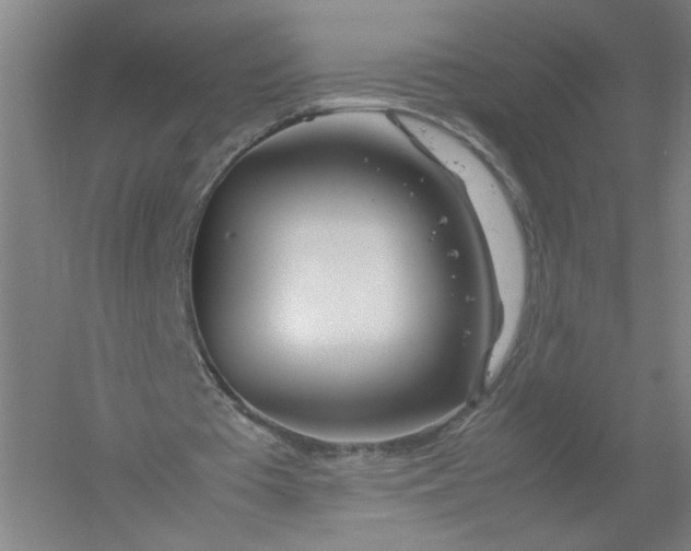 X0000054410385200508192037