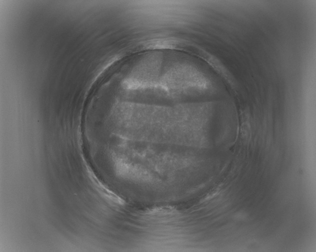 X0000054410386200508192037