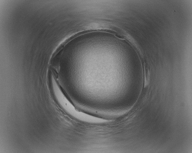 X0000054410387200508192037