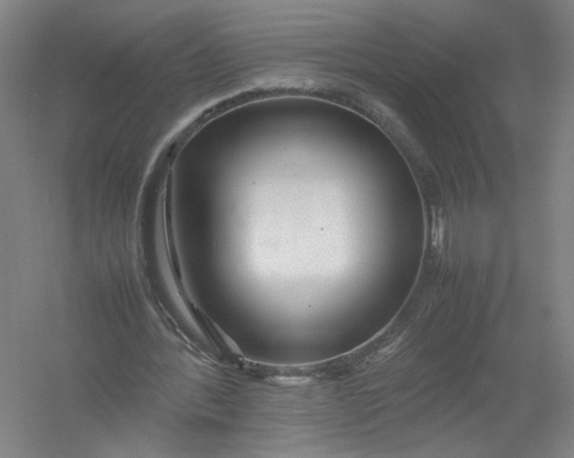 X0000054410388200508192037