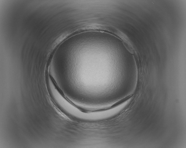 X0000054410389200508192037