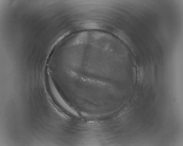 X0000054410390200508192037