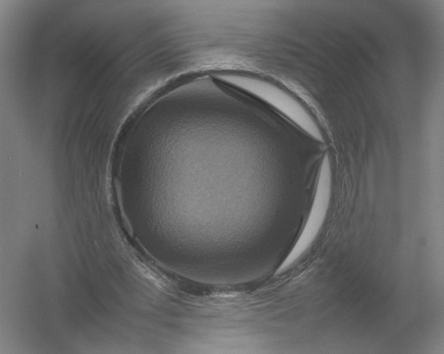 X0000054410391200508192037