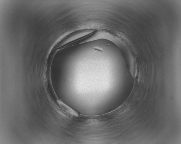 X0000054410392200508192037
