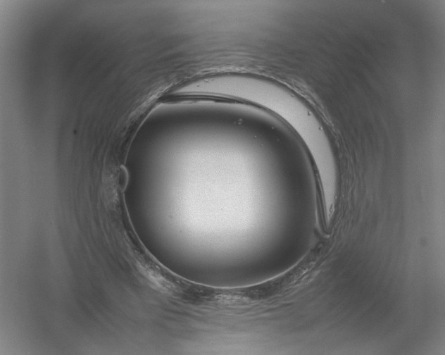 X0000054410393200508192037