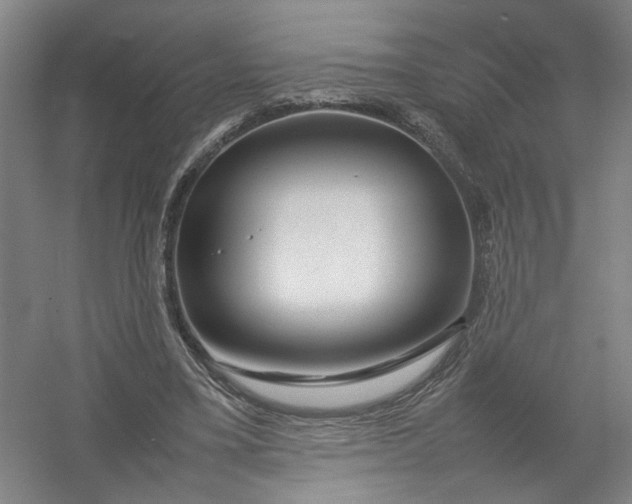 X0000054410395200508192037