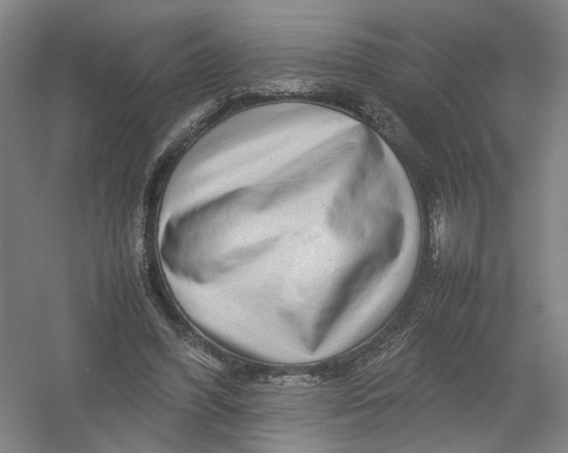 X0000054410396200508192036