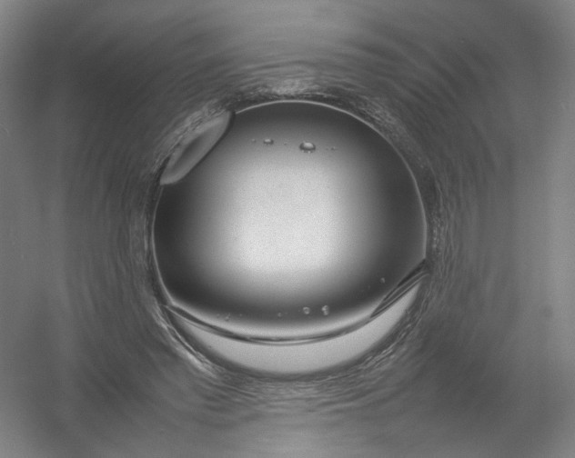X0000054410397200508192036