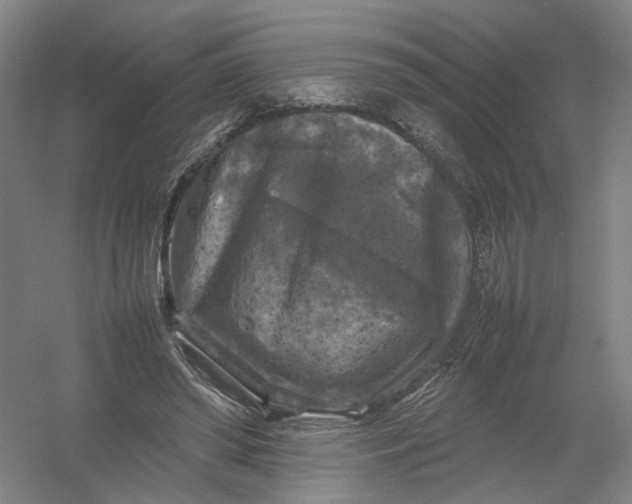 X0000054410398200508192036