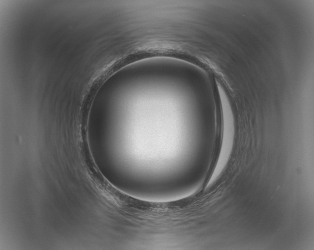 X0000054410399200508192036