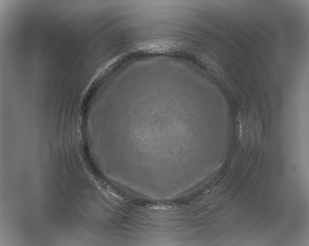 X0000054410400200508192036