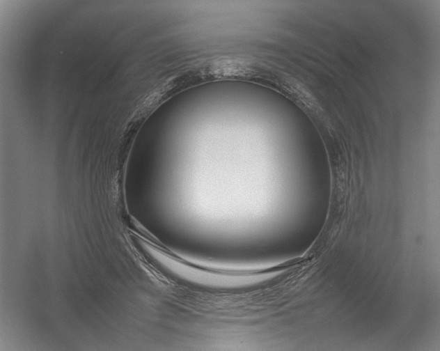 X0000054410401200508192036