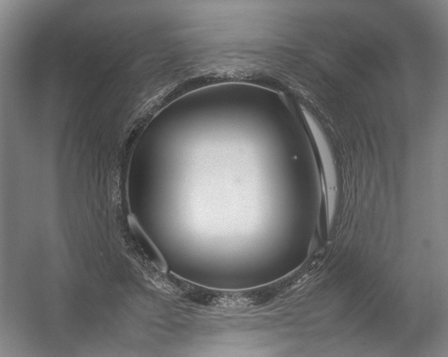 X0000054410403200508192036