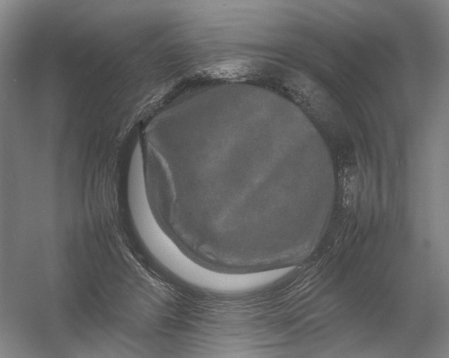 X0000054410404200508192036