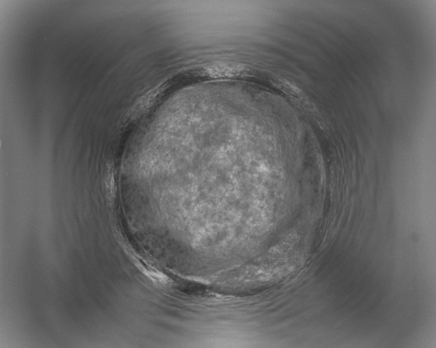 X0000054410405200508192036