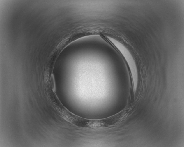 X0000054410407200508192036
