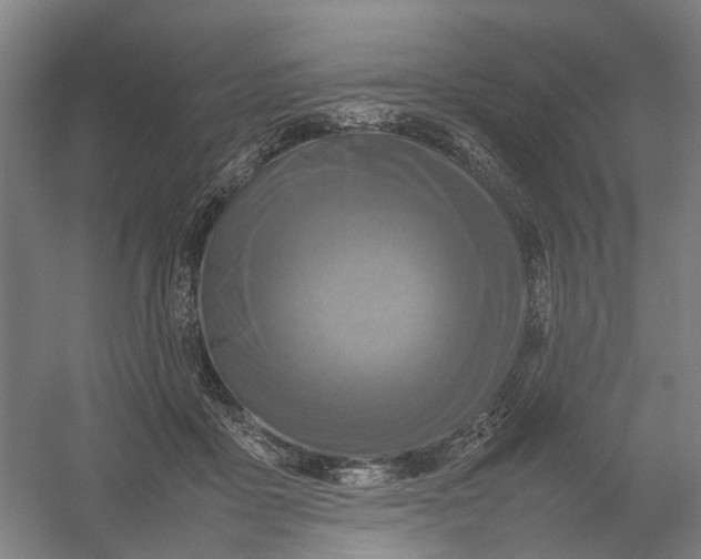 X0000054410411200508192036