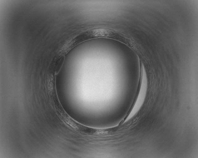 X0000054410413200508192036