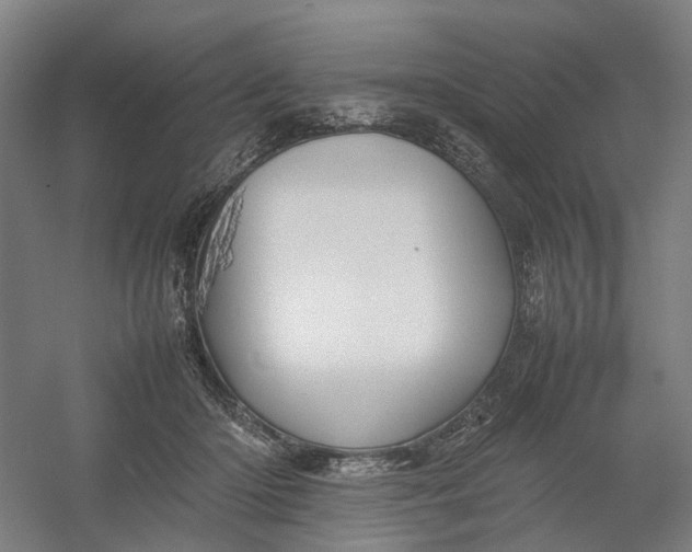 X0000054410414200508192036