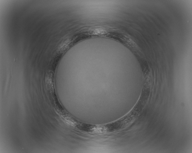 X0000054410415200508192036