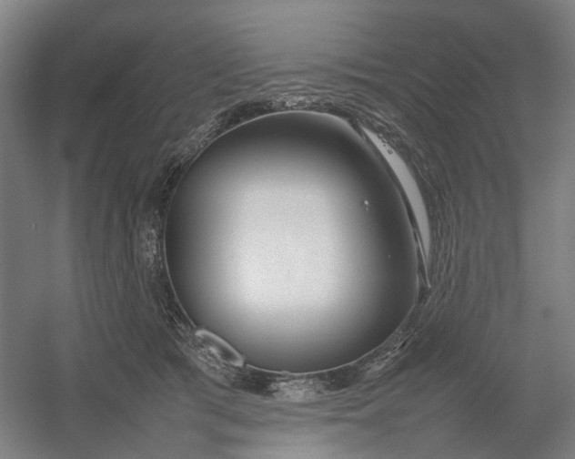 X0000054410417200508192036
