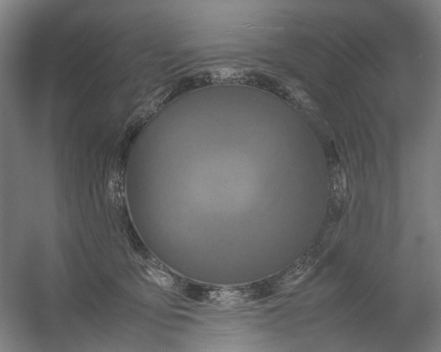 X0000054410419200508192036