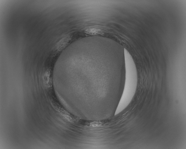 X0000054410420200508192036
