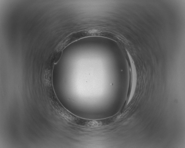 X0000054410421200508192036