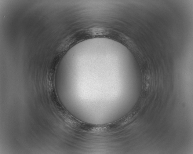 X0000054410422200508192036