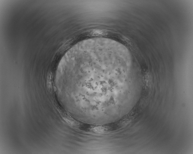 X0000054410423200508192036