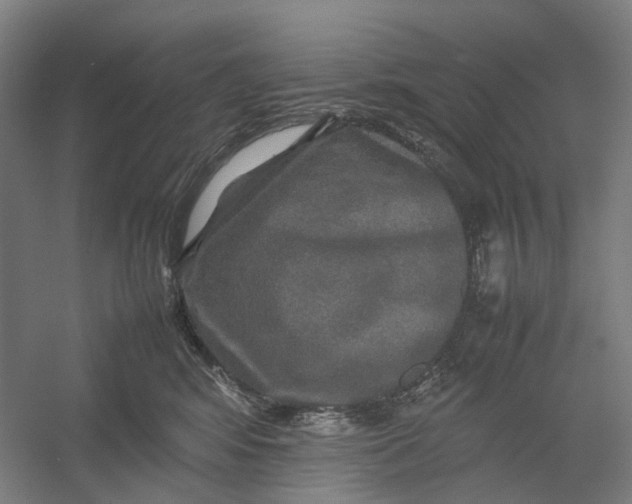 X0000054410424200508192036