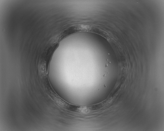 X0000054410425200508192036