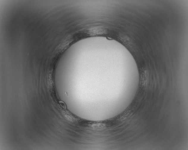X0000054410426200508192036
