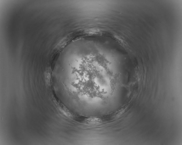 X0000054410427200508192036