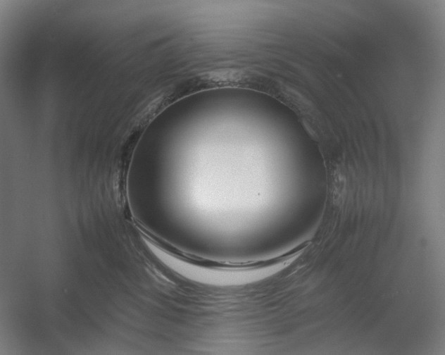 X0000054410428200508192036