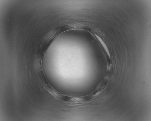 X0000054410429200508192036