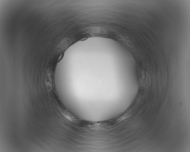 X0000054410430200508192036