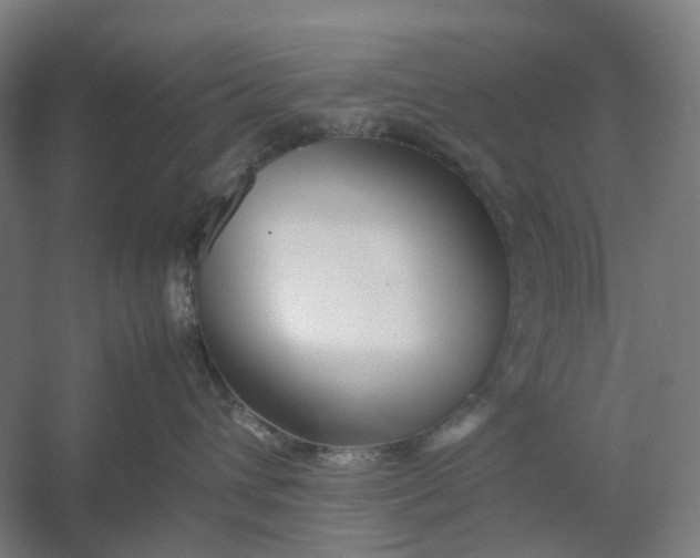 X0000054410432200508192036