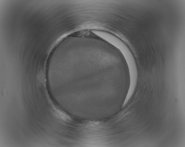 X0000054410438200508192035