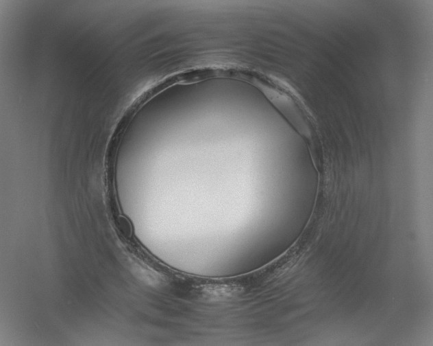 X0000054410439200508192035