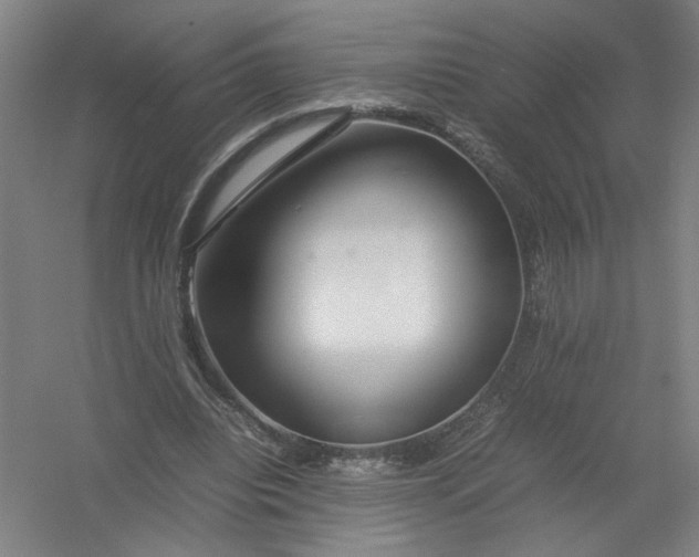 X0000054410440200508192035