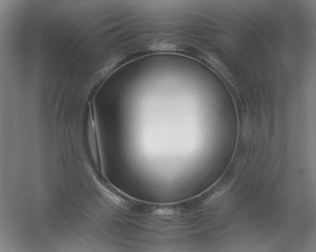 X0000054410441200508192035