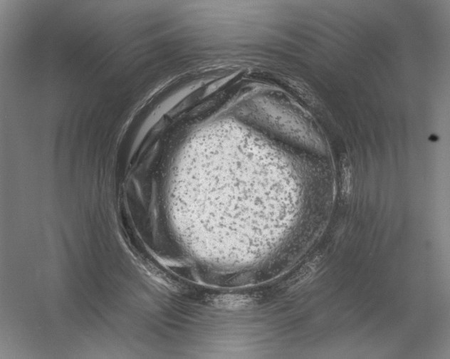 X0000054410444200508192035