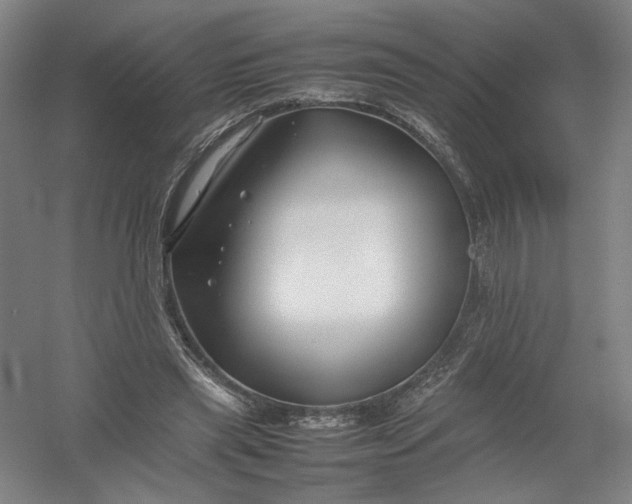 X0000054410445200508192035