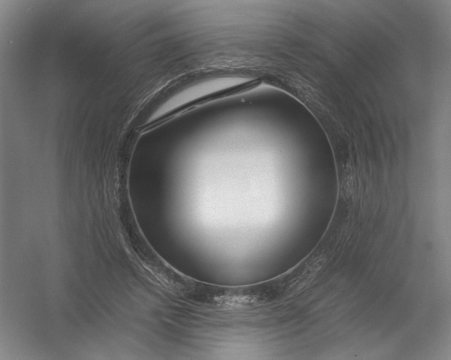 X0000054410448200508192035