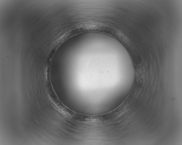 X0000054410454200508192035