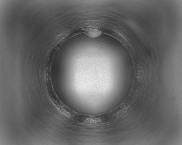 X0000054410455200508192035