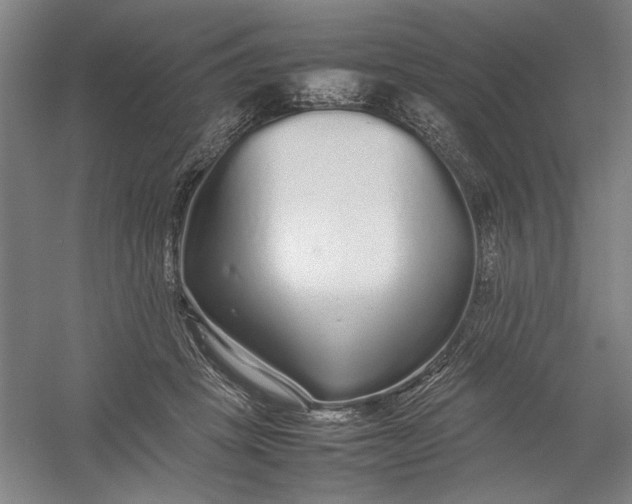 X0000054410457200508192035