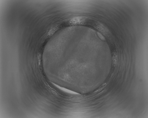 X0000054410458200508192035